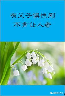 小古文性刚在线视频,探索男性力量与情感表达的独特视角