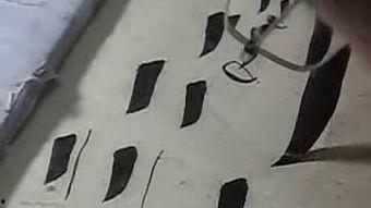 田雪松笔画提在线视频